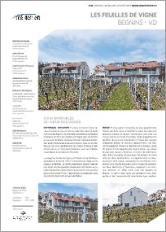 TD Achitectes Begnins Feulles de Vignes